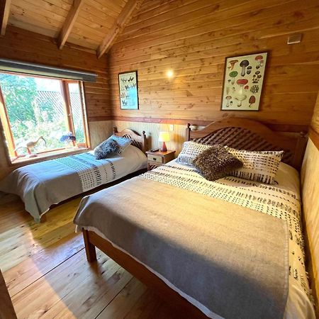 Hostal Pucon Sur Exterior photo